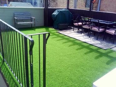 Artificial Grass Photos: Grass Carpet Sierra Madre, California Dog Hospital, Backyard