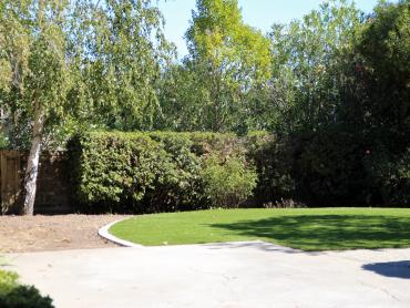 Artificial Grass Photos: Grass Carpet South Pasadena, California Landscape Ideas, Backyard Makeover
