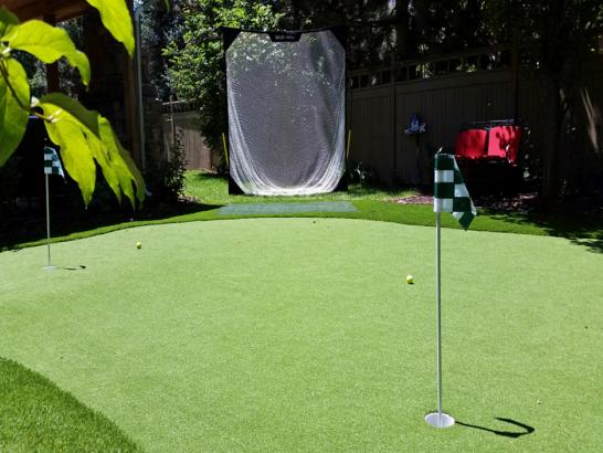 Artificial Grass Photos: Grass Carpet Westwood, California Landscape Rock, Small Backyard Ideas