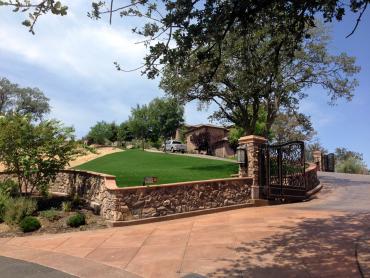 Artificial Grass Photos: Grass Carpet Willowbrook, California Lawns, Front Yard Landscaping