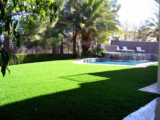 Artificial Grass Photos: Grass Carpet Woodcrest, California Landscape Design, Swimming Pool Designs