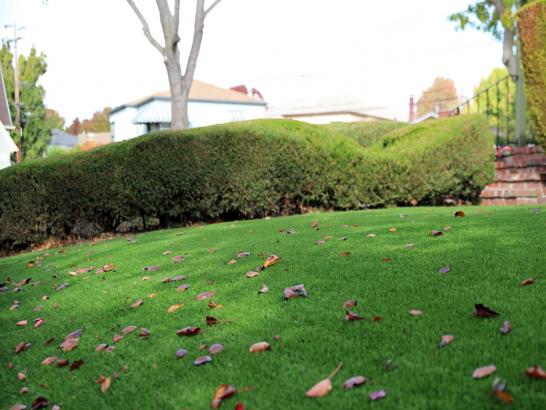 Artificial Grass Photos: Grass Installation Cabazon, California Gardeners, Front Yard