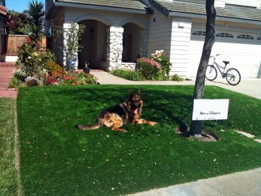 Artificial Grass Photos: Grass Installation Good Hope, California Roof Top, Front Yard