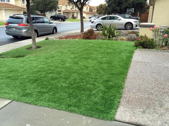 Artificial Grass Photos: Grass Installation Idyllwild, California City Landscape, Front Yard Ideas