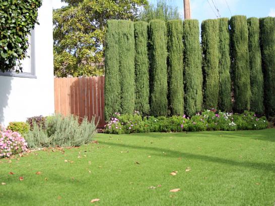 Artificial Grass Photos: Grass Installation Rosemead, California Landscaping Business, Front Yard Design