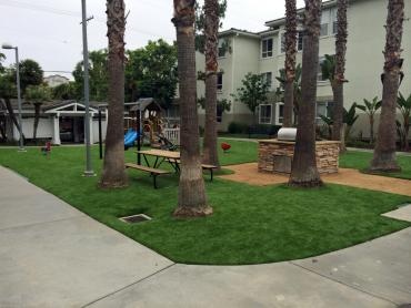 Artificial Grass Photos: Grass Installation South San Jose Hills, California Landscape Photos, Commercial Landscape