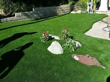 Artificial Grass Photos: Grass Installation West Whittier-Los Nietos, California Landscape Design, Front Yard Design
