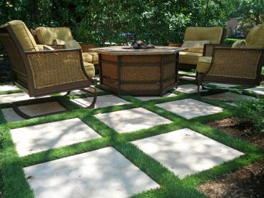 Artificial Grass Photos: Grass Turf Agua Dulce, California Garden Ideas, Backyard Landscaping Ideas