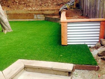 Artificial Grass Photos: Grass Turf Charter Oak, California Lawn And Garden, Backyard