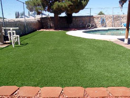 Artificial Grass Photos: Grass Turf East Hemet, California Backyard Deck Ideas, Backyard Pool