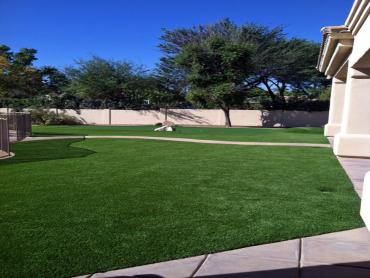 Artificial Grass Photos: Grass Turf Littlerock, California Roof Top, Front Yard Landscaping Ideas