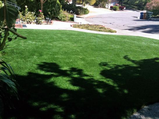 Artificial Grass Photos: Grass Turf Palos Verdes Estates, California Landscape Ideas, Front Yard