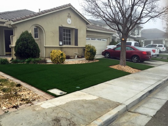 Artificial Grass Photos: Grass Turf Palos Verdes Estates, California Design Ideas, Landscaping Ideas For Front Yard