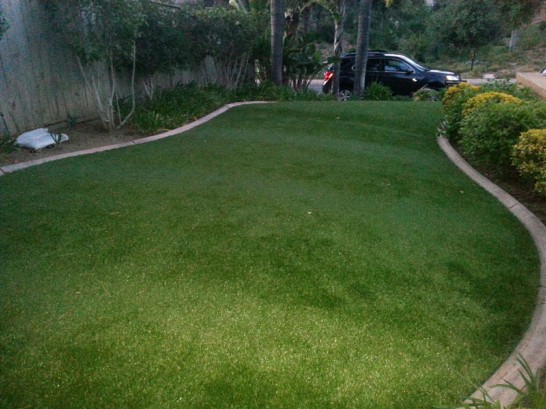 Grass Turf Rialto, California Lawn And Garden, Front Yard Landscape Ideas artificial grass