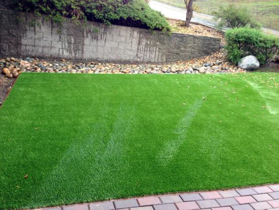 Artificial Grass Photos: Grass Turf Santa Monica, California Landscape Ideas, Small Backyard Ideas