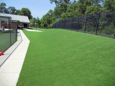 Artificial Grass Photos: Grass Turf Sky Valley, California Lawns, Commercial Landscape