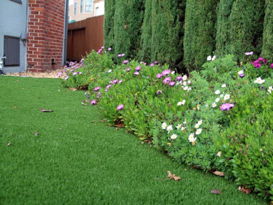 Artificial Grass Photos: Grass Turf South Pasadena, California Landscape Ideas, Small Front Yard Landscaping