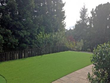 Artificial Grass Photos: Green Lawn Lynwood, California Landscaping, Backyard Landscape Ideas