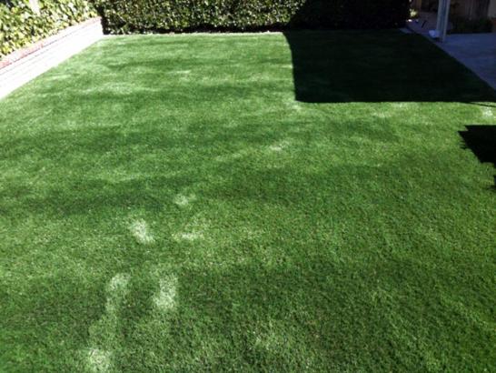 Artificial Grass Photos: Green Lawn Marina del Rey, California Hotel For Dogs, Beautiful Backyards
