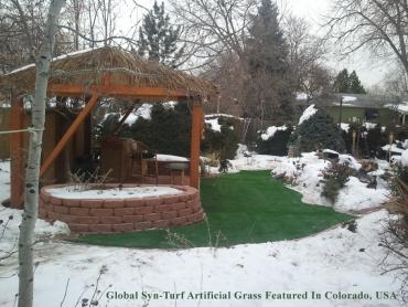Green Lawn Pedley, California Gardeners, Backyard Design artificial grass