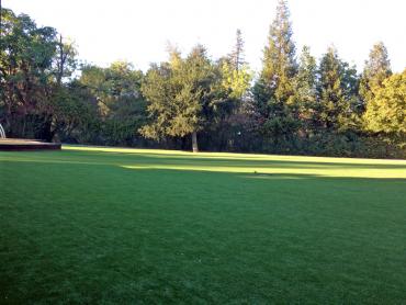 Artificial Grass Photos: Green Lawn Vernon, California Lawn And Garden, Recreational Areas