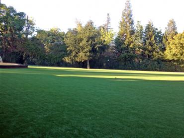 Artificial Grass Photos: Green Lawn Vernon, California Lawn And Garden, Recreational Areas