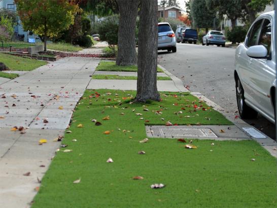 Artificial Grass Photos: Green Lawn West Covina, California Rooftop, Front Yard Ideas