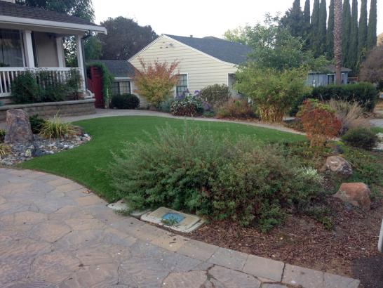Artificial Grass Photos: Green Lawn Westlake Village, California Landscape Photos, Small Front Yard Landscaping
