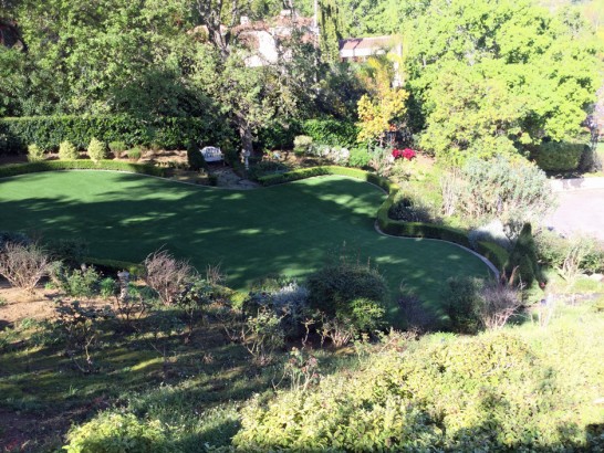 Artificial Grass Photos: Green Lawn Woodland Hills, California Design Ideas, Backyard Ideas