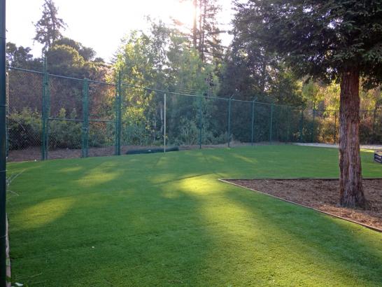 Artificial Grass Photos: How To Install Artificial Grass Claremont, California Landscape Design, Recreational Areas