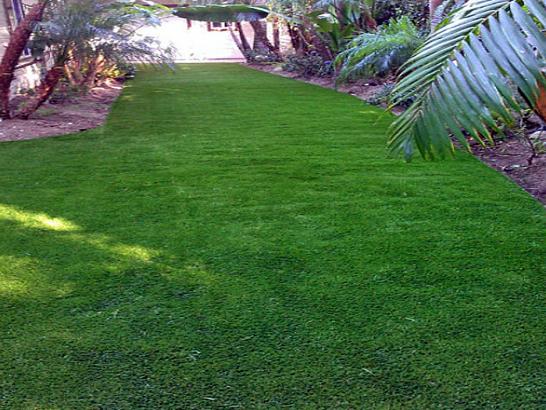 Artificial Grass Photos: How To Install Artificial Grass East La Mirada, California Landscape Rock, Backyard Garden Ideas