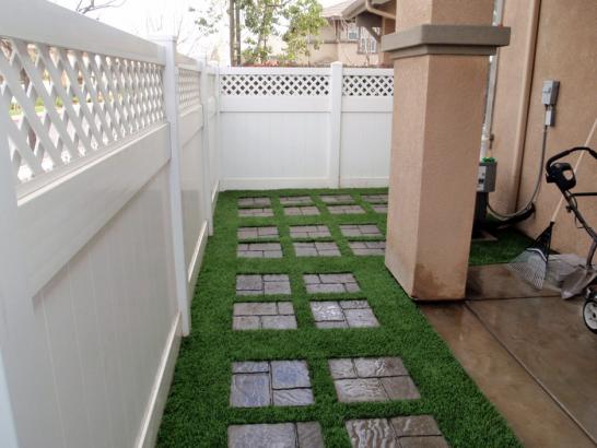 Artificial Grass Photos: How To Install Artificial Grass Florence-Graham, California City Landscape, Backyard