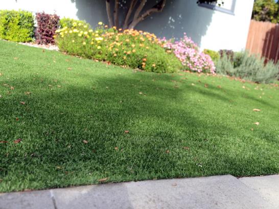 Artificial Grass Photos: How To Install Artificial Grass Hemet, California Landscape Ideas, Front Yard Landscape Ideas