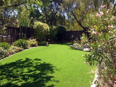 Artificial Grass Photos: How To Install Artificial Grass La Habra Heights, California Roof Top, Backyard Garden Ideas