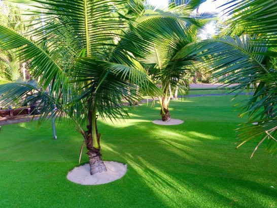 Artificial Grass Photos: How To Install Artificial Grass Oasis, California Lawns, Commercial Landscape