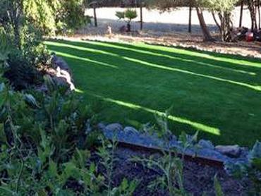 Artificial Grass Photos: How To Install Artificial Grass Pinon Hills, California Roof Top, Backyard Designs