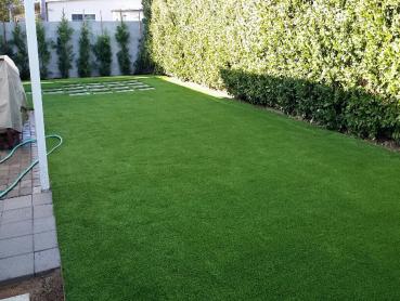 Artificial Grass Photos: How To Install Artificial Grass Santa Fe Springs, California Dog Run, Backyard Landscape Ideas