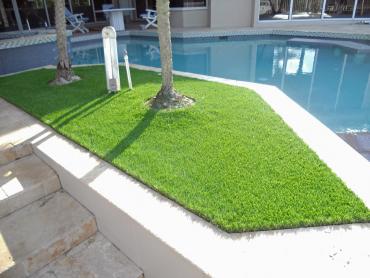 Artificial Grass Photos: How To Install Artificial Grass Wrightwood, California City Landscape, Backyards