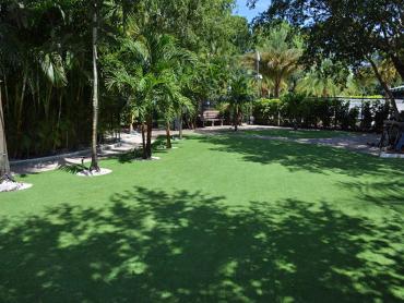 Artificial Grass Photos: Installing Artificial Grass Downey, California Lawn And Garden, Commercial Landscape