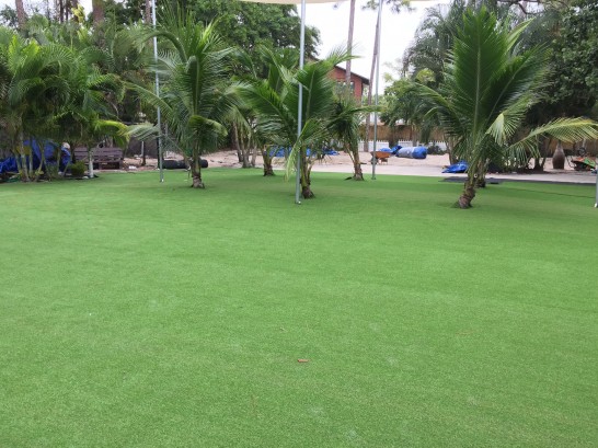 Artificial Grass Photos: Installing Artificial Grass Highland, California Landscaping Business, Commercial Landscape