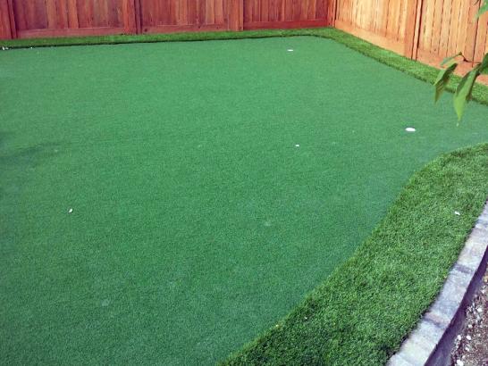 Artificial Grass Photos: Installing Artificial Grass Homeland, California Lawns, Backyards