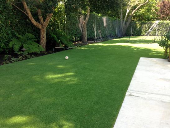 Artificial Grass Photos: Installing Artificial Grass Lennox, California Garden Ideas