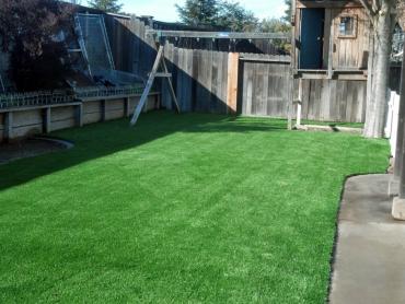 Artificial Grass Photos: Installing Artificial Grass South Whittier, California Design Ideas, Backyard Makeover