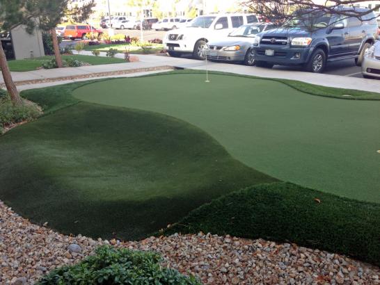 Artificial Grass Photos: Installing Artificial Grass Twentynine Palms, California Design Ideas, Commercial Landscape