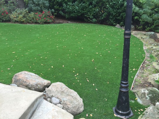 Artificial Grass Photos: Installing Artificial Grass Van Nuys, California Landscaping Business, Backyard Landscape Ideas