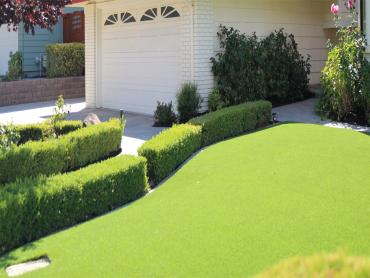 Artificial Grass Photos: Lawn Services East Rancho Dominguez, California Garden Ideas, Front Yard Landscape Ideas