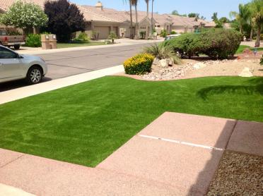 Artificial Grass Photos: Lawn Services North Glendale, California Landscape Ideas, Small Front Yard Landscaping