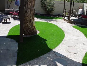 Artificial Grass Photos: Lawn Services Palos Verdes Estates, California Roof Top, Backyard Designs
