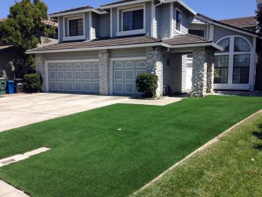 Artificial Grass Photos: Outdoor Carpet Aguanga, California Lawns, Small Front Yard Landscaping