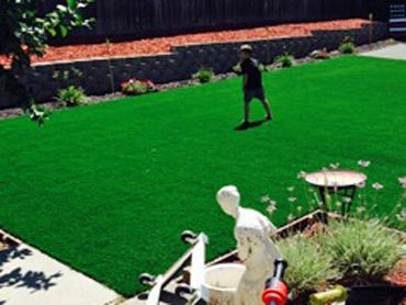 Artificial Grass Photos: Outdoor Carpet Apple Valley, California Landscape Photos, Backyard Ideas